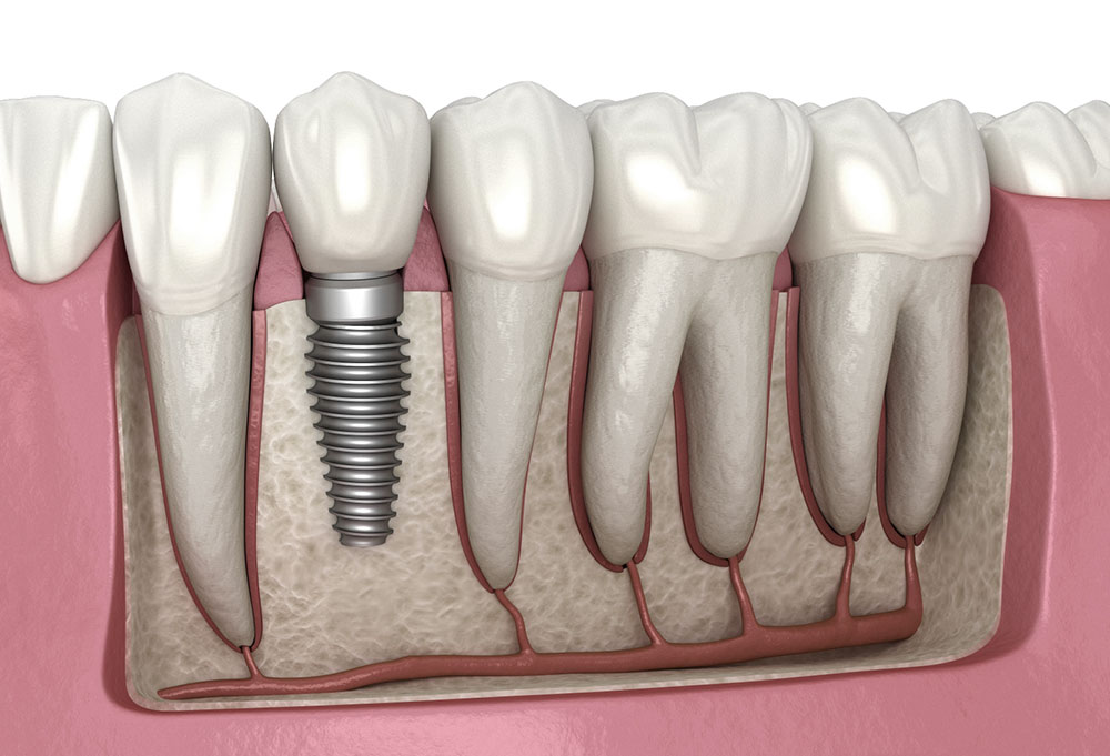 best dentist in kuchaman city