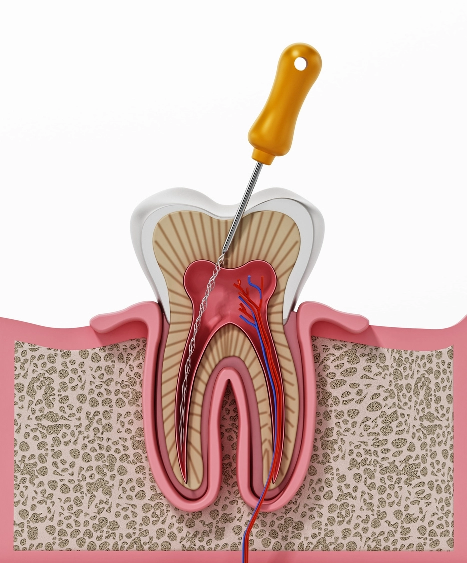 best dentist in kuchaman city